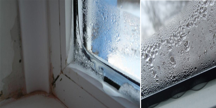 Конденсат на окнах — причины возникновения и как остановить переход пара в жидкость (95 фото)